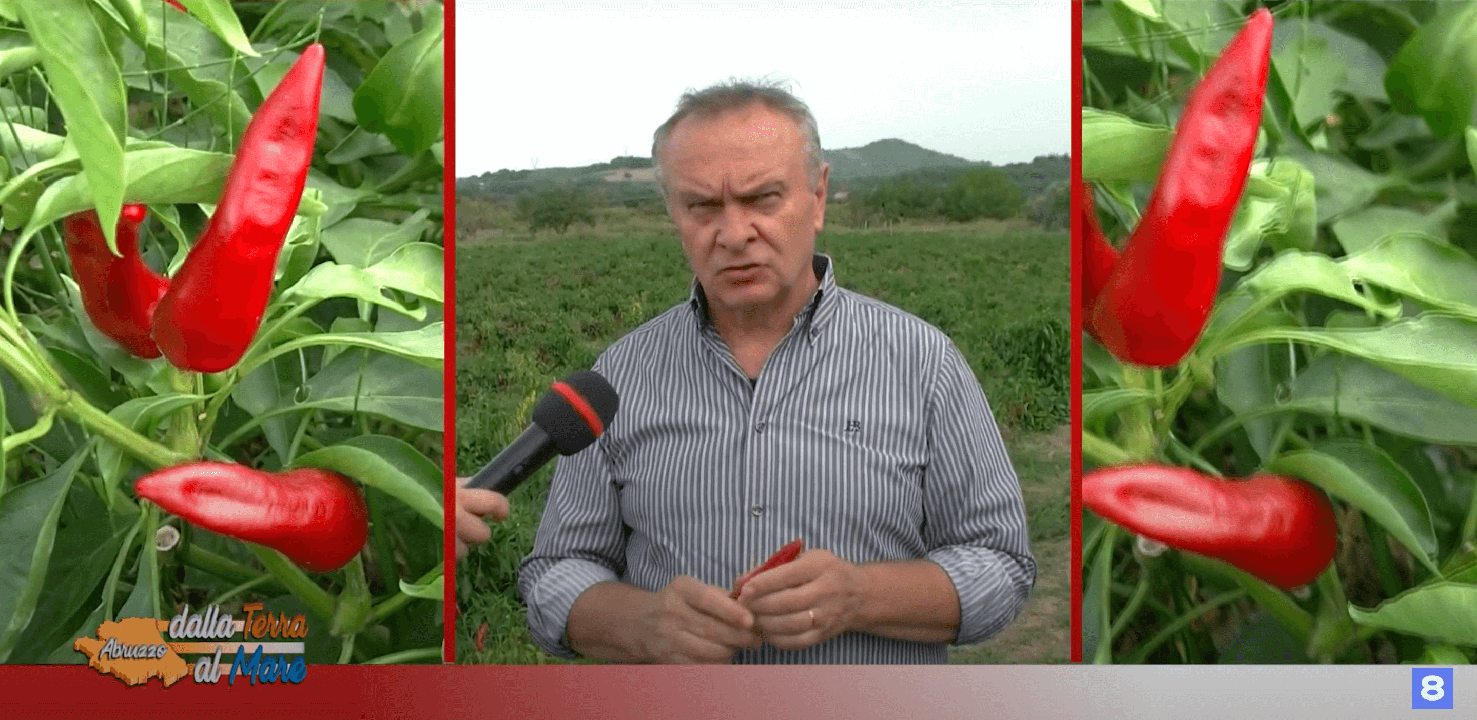 Abruzzo dalla Terra al Mare - Peperone Dolce di Altino